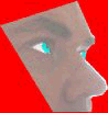 MANAGEMENT_img1.gif